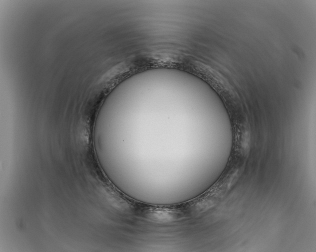 X0000111180710200907081235