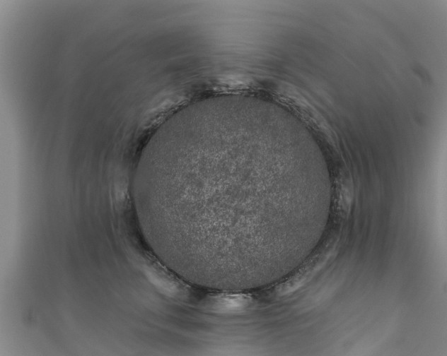 X0000111180711200907081235