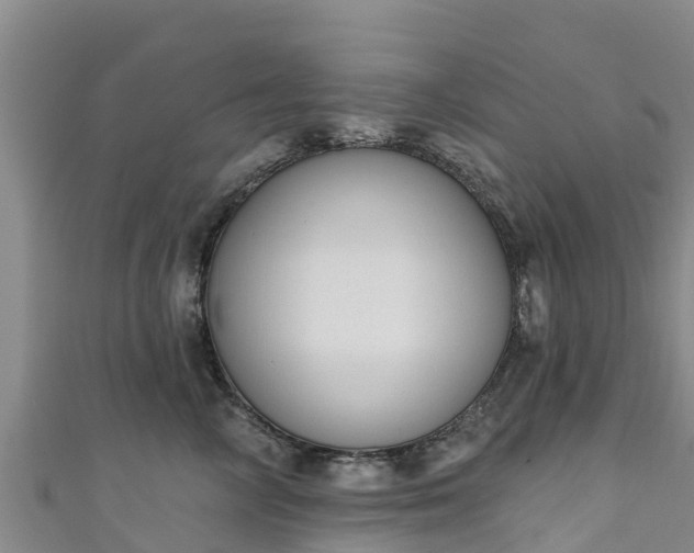 X0000111180714200907081235