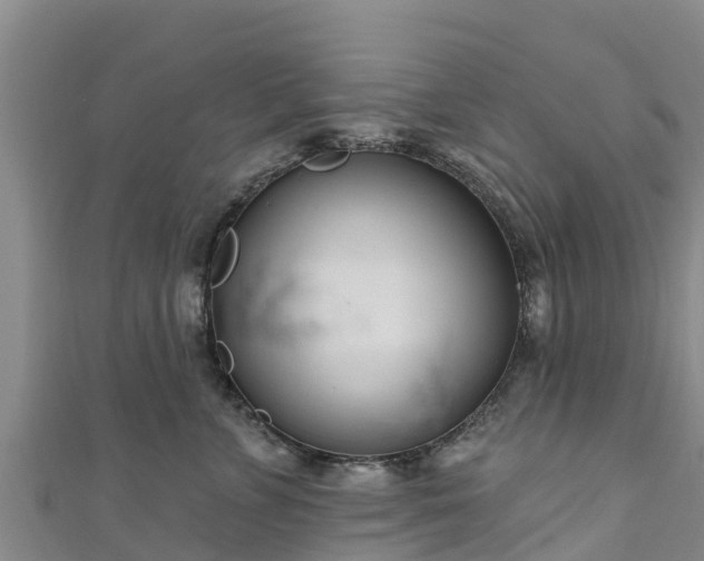 X0000111180715200907081235