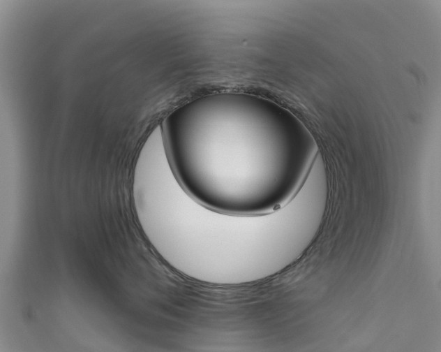 X0000111180720200907081235