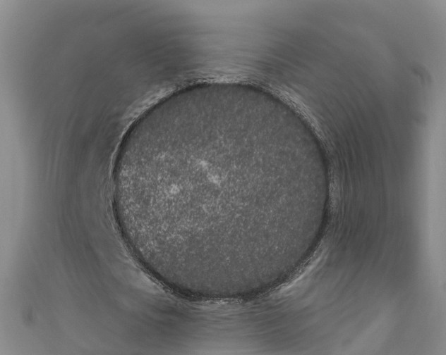 X0000111180721200907081234