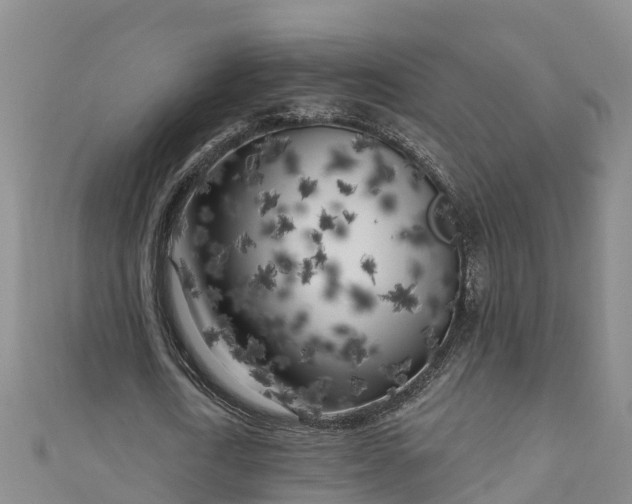 X0000111180722200907081234