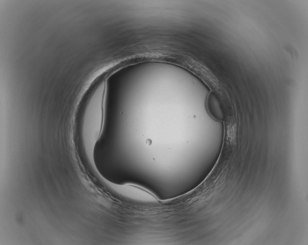 X0000111180724200907081235