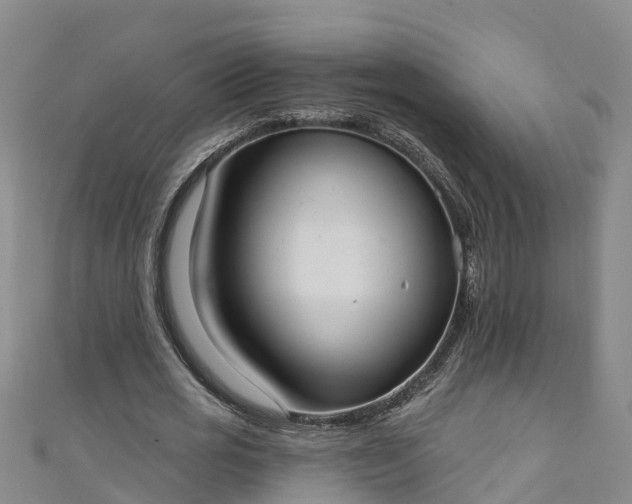 X0000111180725200907081235