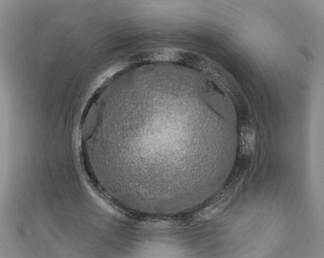 X0000111180726200907081235