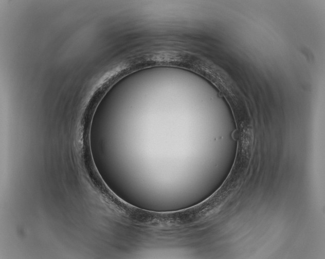 X0000111180727200907081235