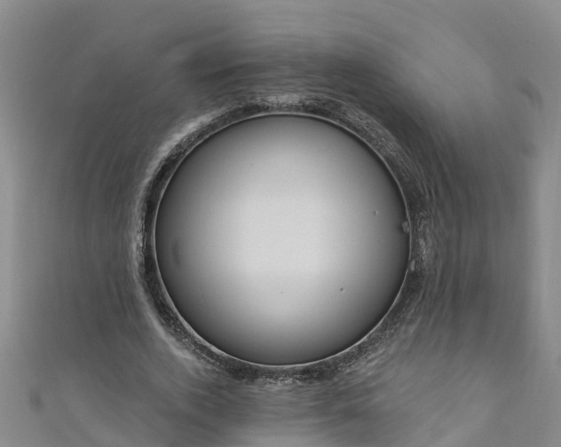 X0000111180728200907081235