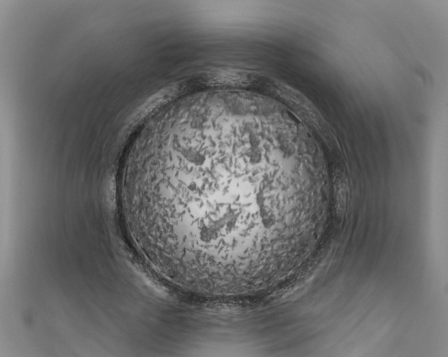 X0000111180729200907081235