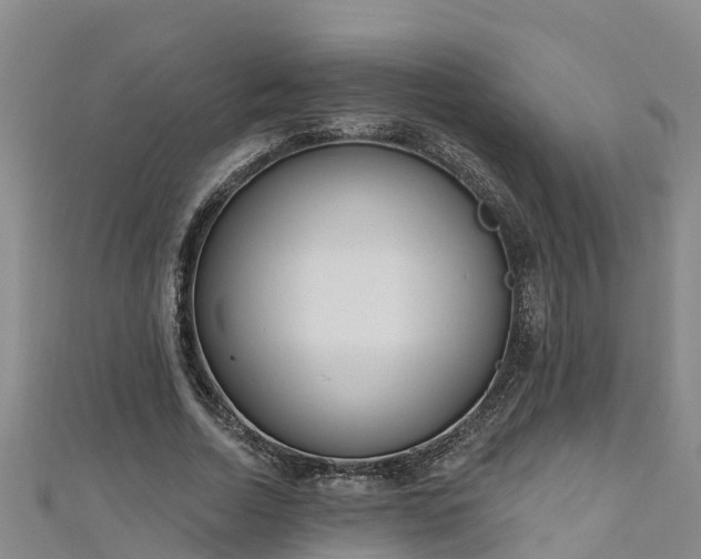 X0000111180730200907081235