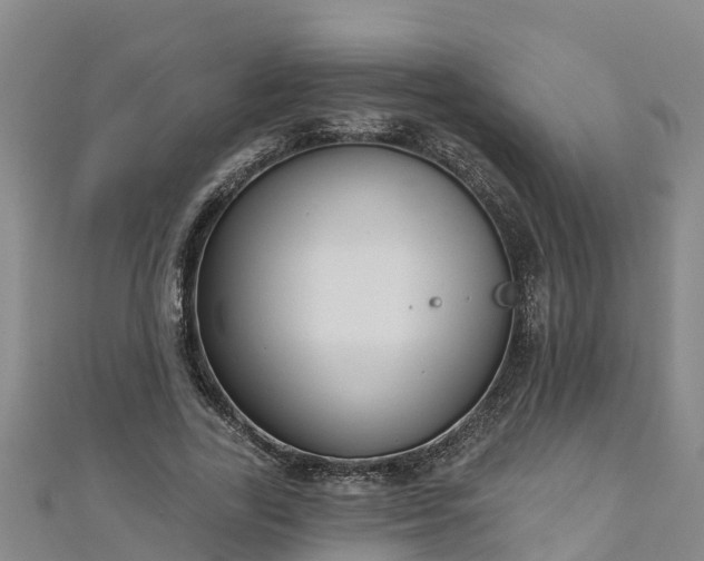 X0000111180731200907081235