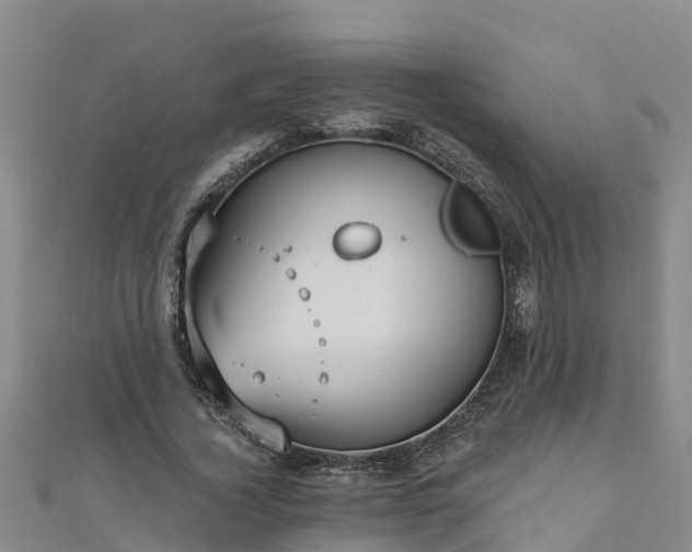 X0000111180732200907081235