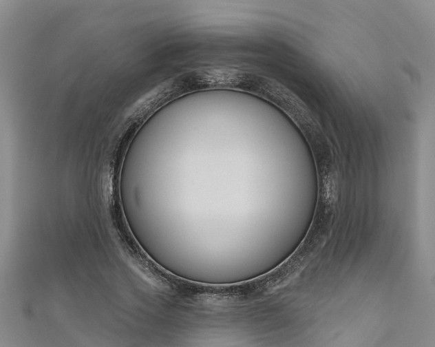 X0000111180733200907081235