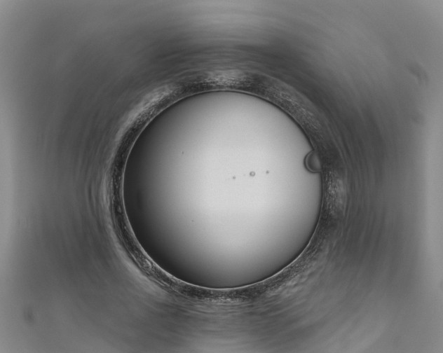 X0000111180734200907081235