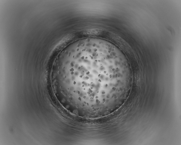 X0000111180735200907081235