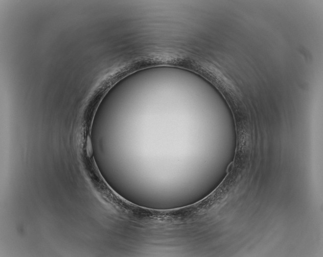 X0000111180736200907081235