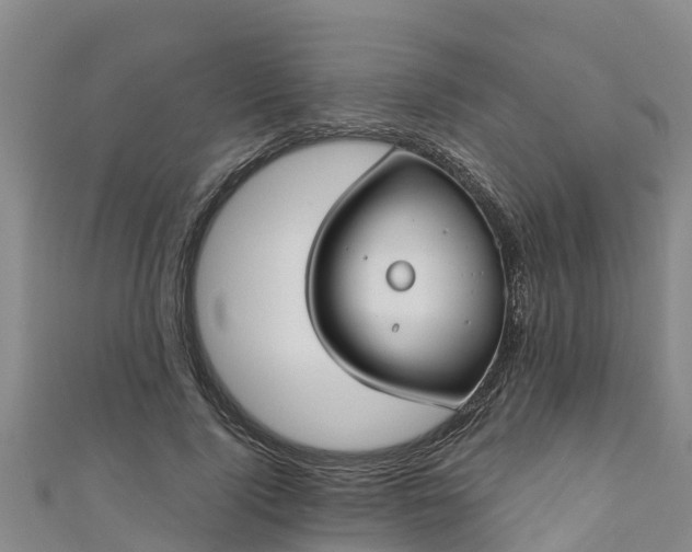 X0000111180740200907081235