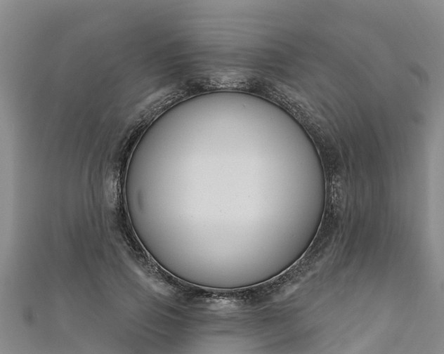 X0000111180741200907081235