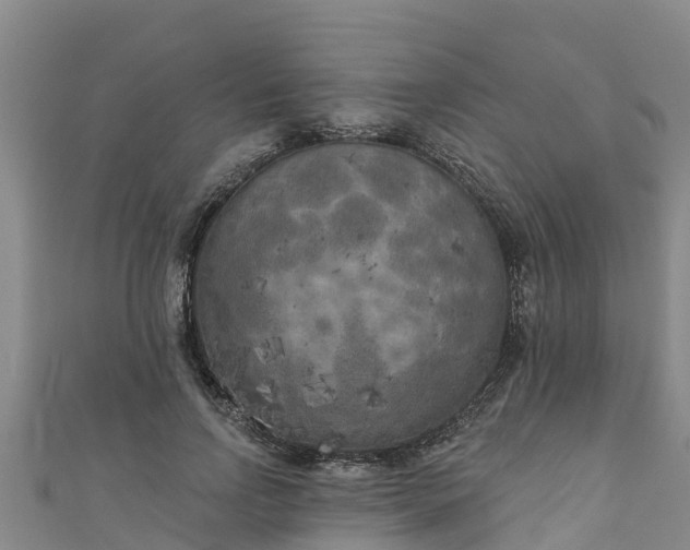 X0000111180742200907081235