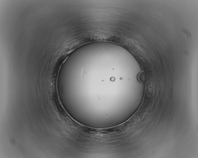 X0000111180743200907081235