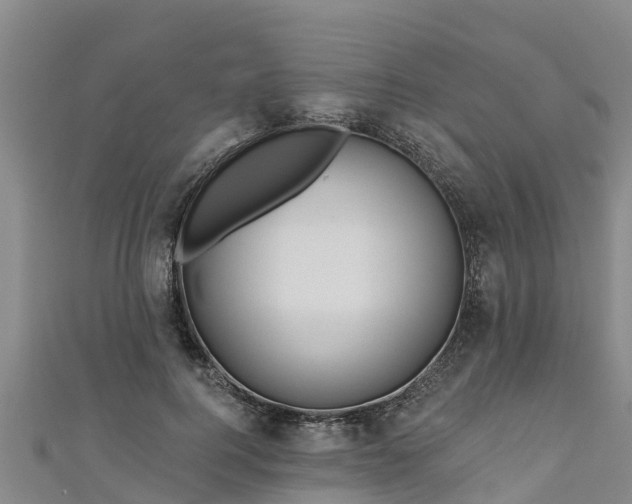 X0000111180744200907081235