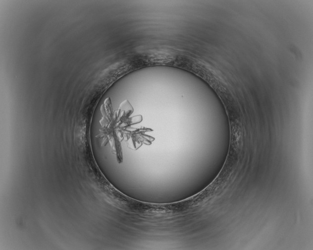 X0000111180745200907081235