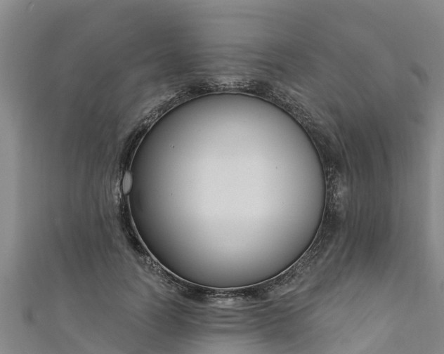 X0000111180746200907081235