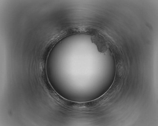 X0000111180747200907081235