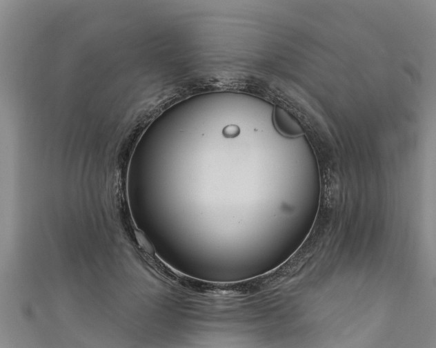 X0000111180748200907081235