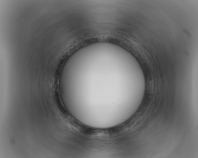 X0000111180750200907081235