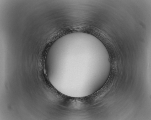 X0000111180751200907081235