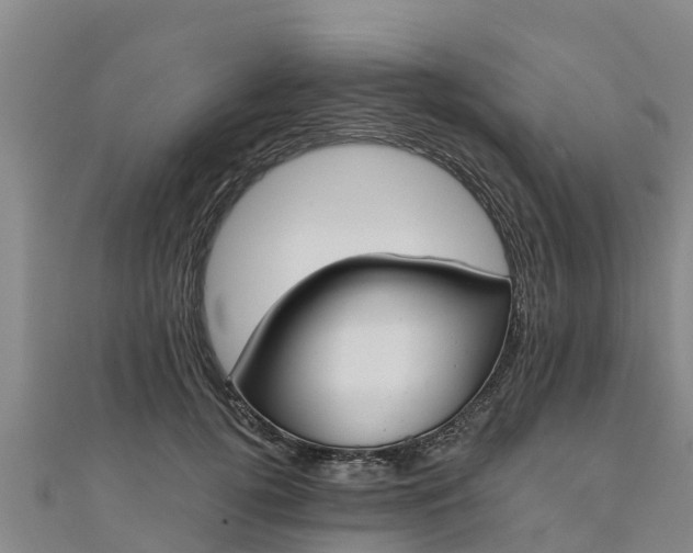 X0000111180752200907081235