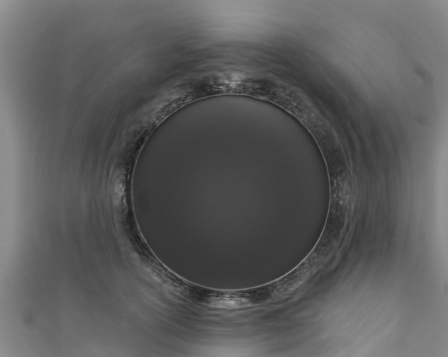 X0000111180754200907081235