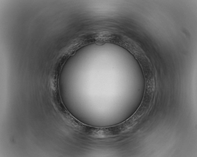 X0000111180755200907081235