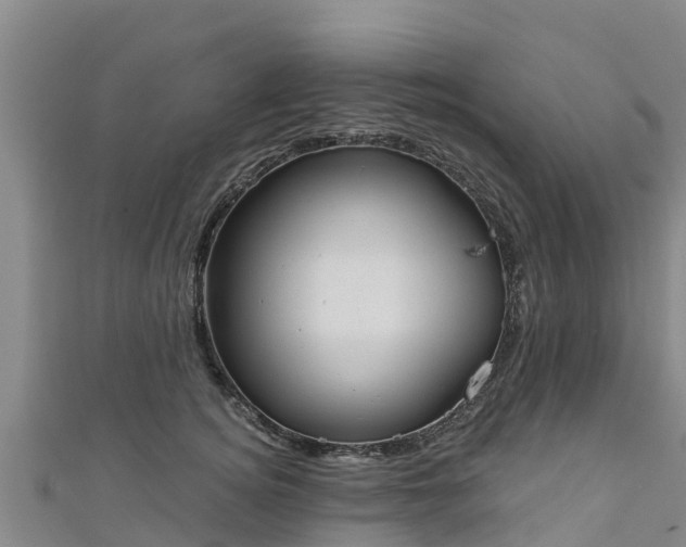 X0000111180756200907081235