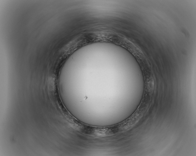 X0000111180757200907081235