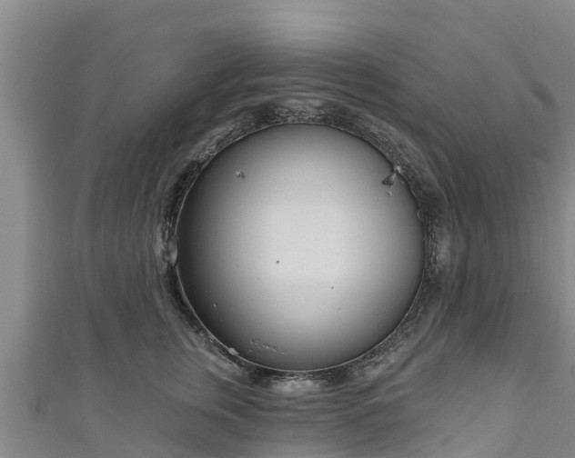 X0000111180759200907081235