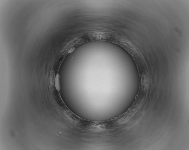 X0000111180760200907081235