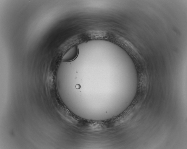 X0000111180761200907081235