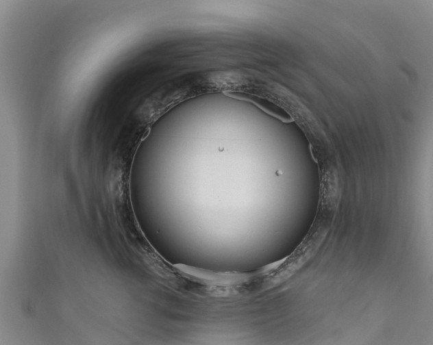 X0000111180762200907081235