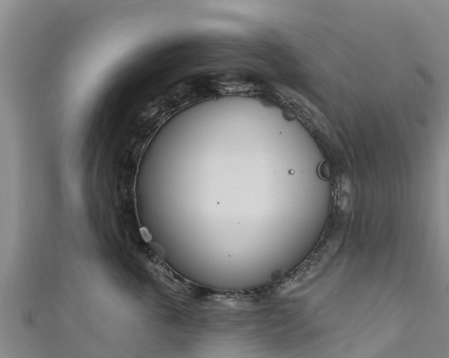 X0000111180763200907081235