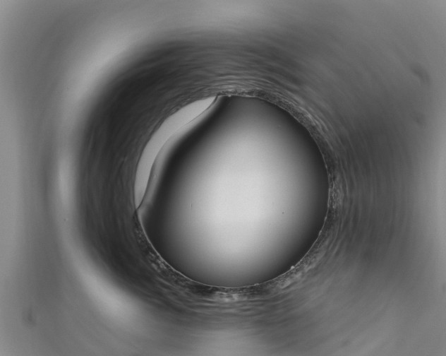 X0000111180764200907081235