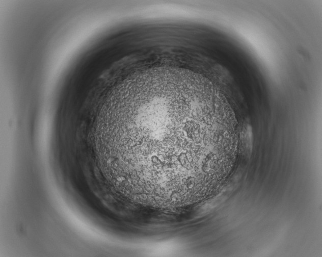 X0000111180765200907081235