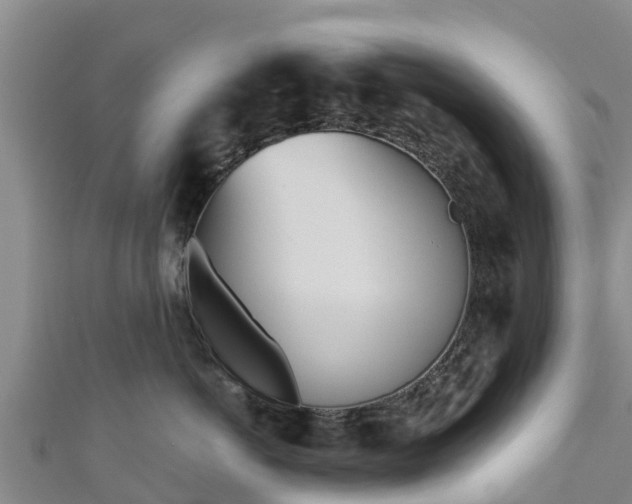 X0000111180766200907081235