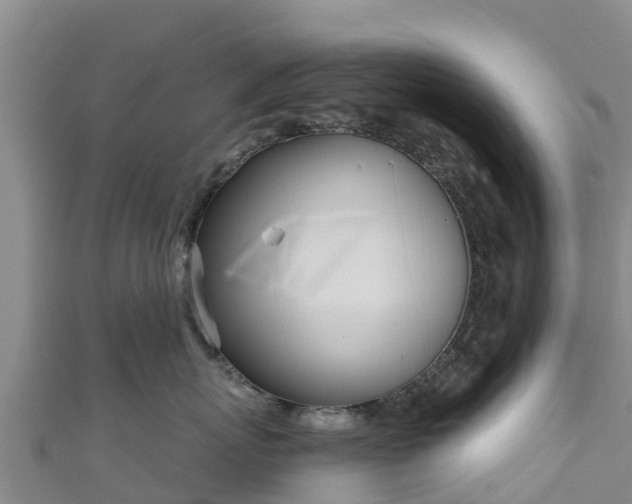 X0000111180767200907081235