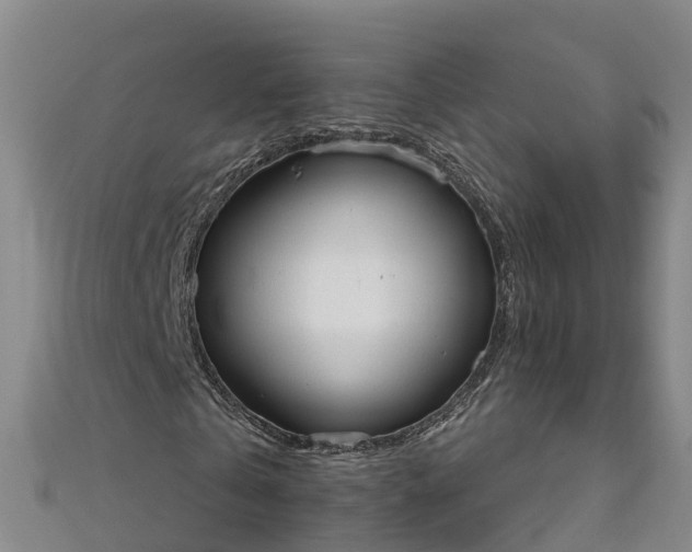 X0000111180769200907081234