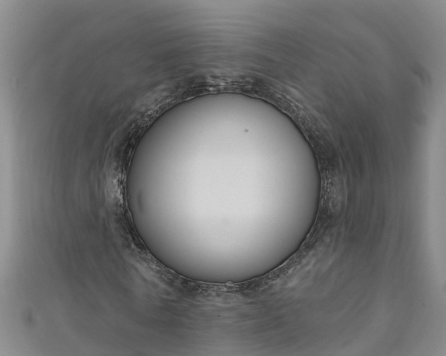 X0000111180770200907081234