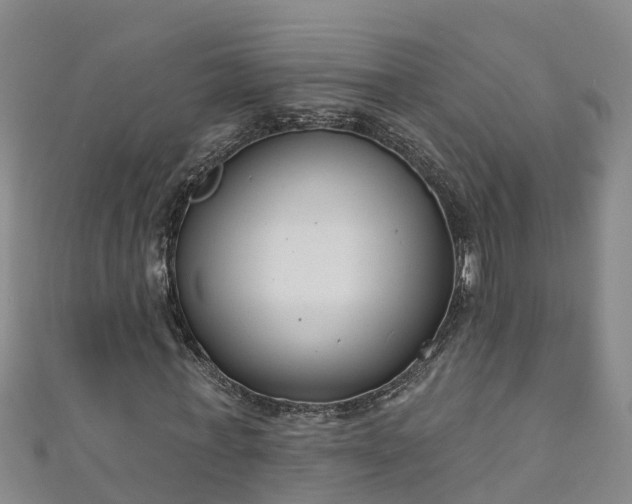 X0000111180771200907081234