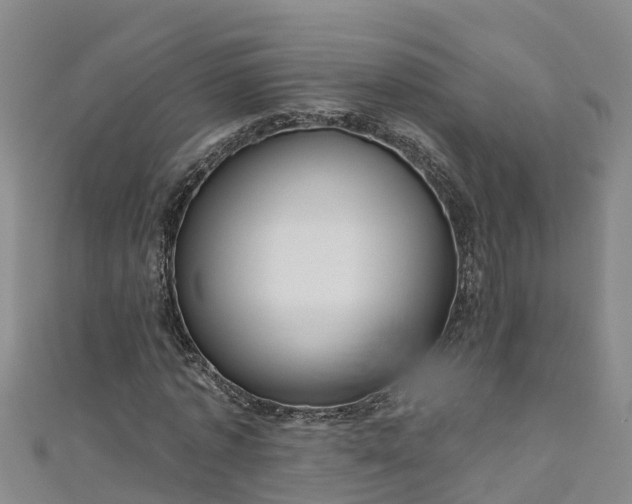 X0000111180773200907081234