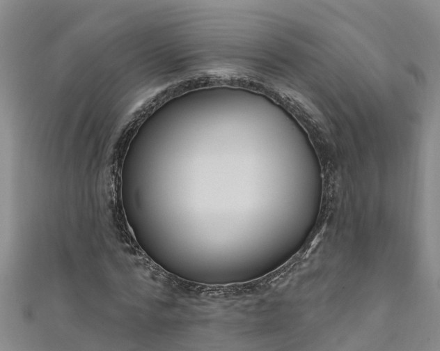 X0000111180776200907081234